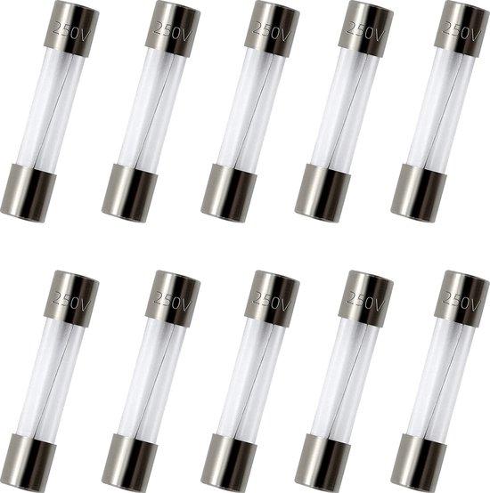 Glaszekering_5x20mm_Traag_15Amp_Klein