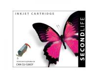 SecondLife___Canon_CLI_526_Grey